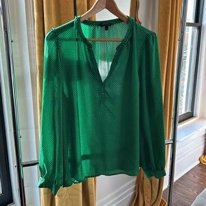 Large Banana Republic Sheer Green blouse